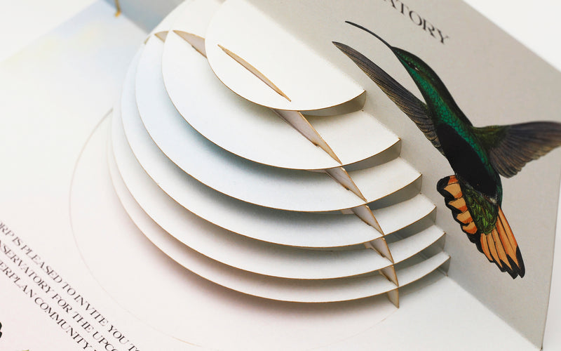 Shrapnel Layout Paper Cutting – Shrapnel Design | Custom Presentation Solutions in ...